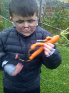 Toronto-20141021-02238